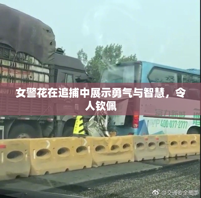 女警花在追捕中展示勇气与智慧，令人钦佩