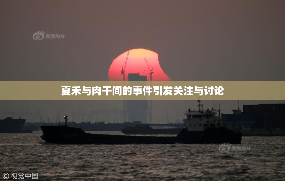夏禾与肉干间的事件引发关注与讨论