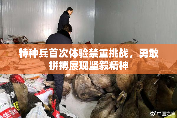 特种兵首次体验禁重挑战，勇敢拼搏展现坚毅精神