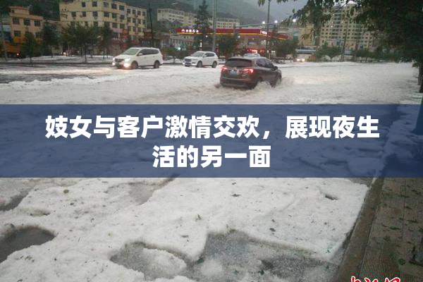 妓女与客户激情交欢，展现夜生活的另一面