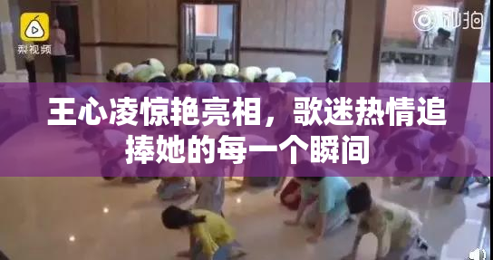王心凌惊艳亮相，歌迷热情追捧她的每一个瞬间