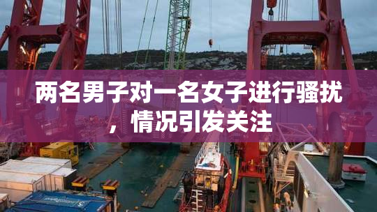 两名男子对一名女子进行骚扰，情况引发关注
