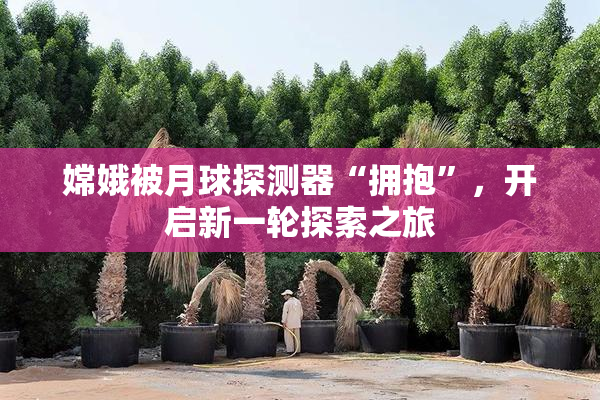 嫦娥被月球探测器“拥抱”，开启新一轮探索之旅