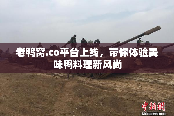 老鸭窝.co平台上线，带你体验美味鸭料理新风尚