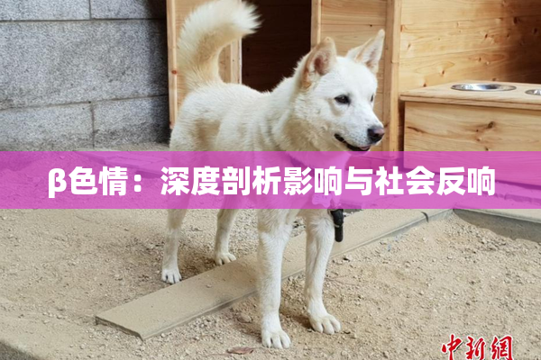 β色情：深度剖析影响与社会反响