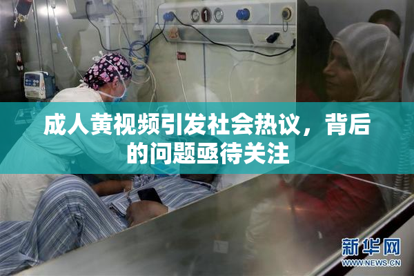 成人黄视频引发社会热议，背后的问题亟待关注