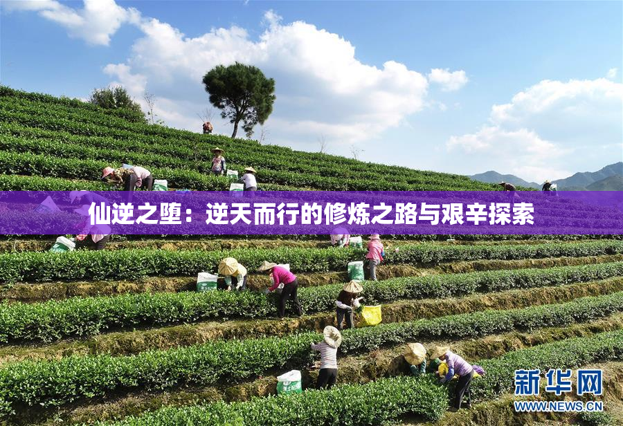 仙逆之堕：逆天而行的修炼之路与艰辛探索