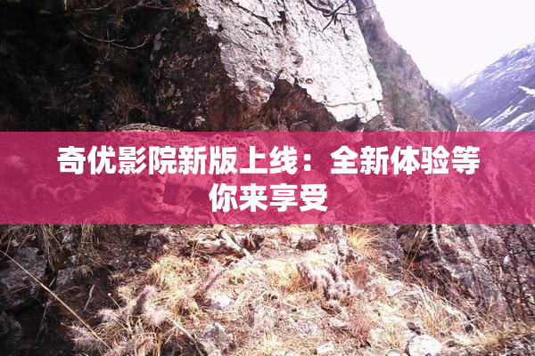 奇优影院新版上线：全新体验等你来享受