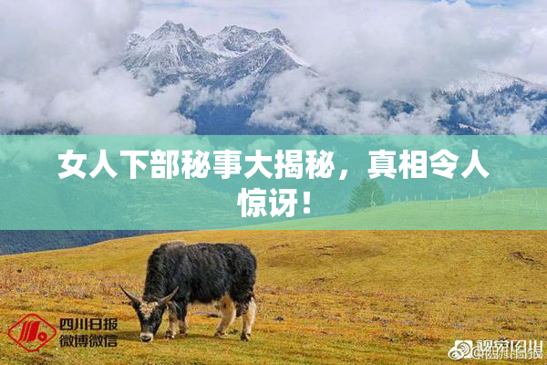 女人下部秘事大揭秘，真相令人惊讶！