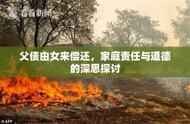 父债由女来偿还，家庭责任与道德的深思探讨