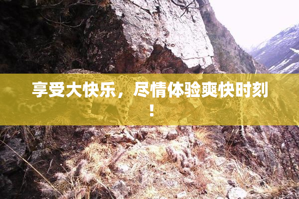享受大快乐，尽情体验爽快时刻！
