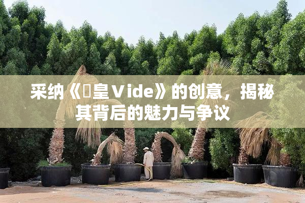 采纳《嘼皇Ⅴide》的创意，揭秘其背后的魅力与争议