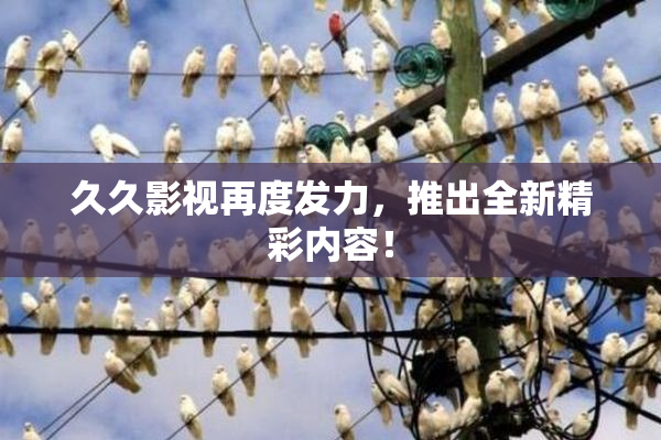 久久影视再度发力，推出全新精彩内容！