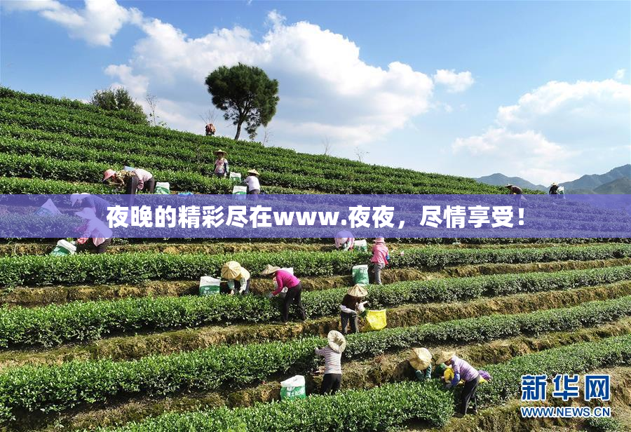 夜晚的精彩尽在www.夜夜，尽情享受！