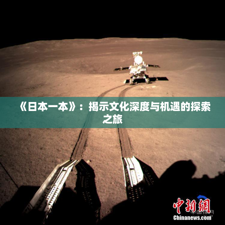 《日本一本》：揭示文化深度与机遇的探索之旅