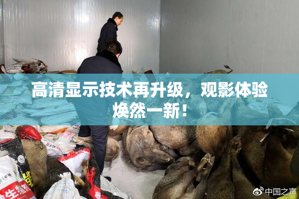 高清显示技术再升级，观影体验焕然一新！