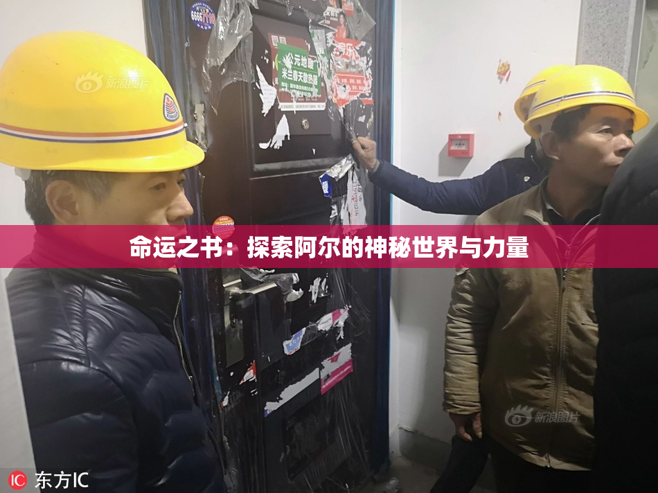 命运之书：探索阿尔的神秘世界与力量