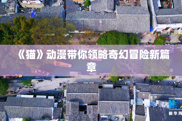 《猫》动漫带你领略奇幻冒险新篇章