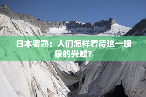 日本老熟：人们怎样看待这一现象的兴起？