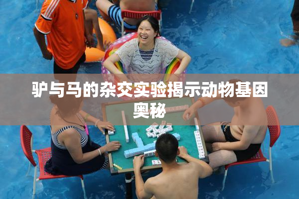 驴与马的杂交实验揭示动物基因奥秘