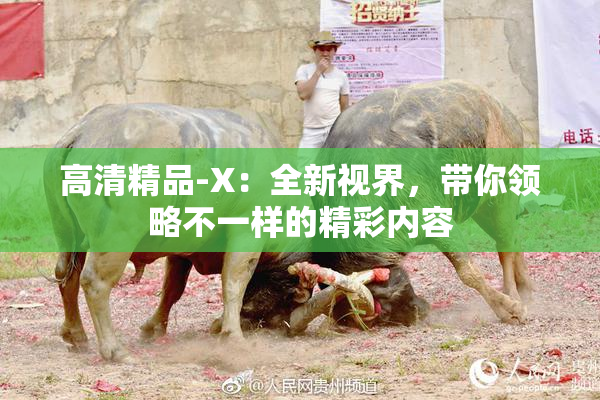 高清精品-X：全新视界，带你领略不一样的精彩内容