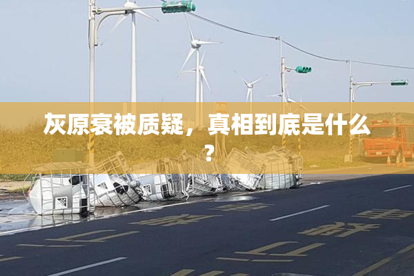 灰原衰被质疑，真相到底是什么？