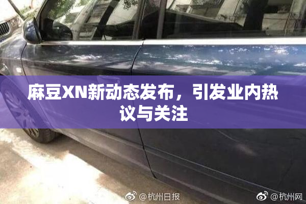 麻豆XN新动态发布，引发业内热议与关注