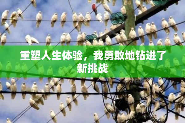 重塑人生体验，我勇敢地钻进了新挑战