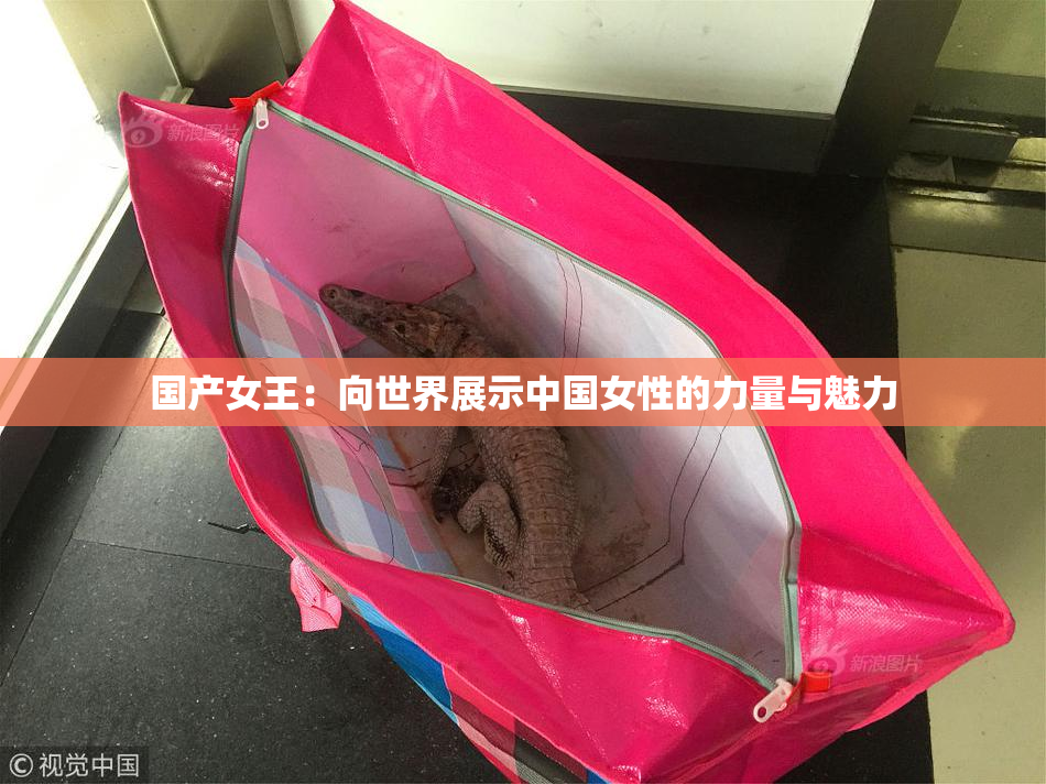 国产女王：向世界展示中国女性的力量与魅力