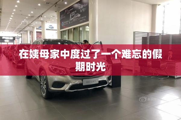 在姨母家中度过了一个难忘的假期时光