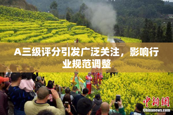 A三级评分引发广泛关注，影响行业规范调整