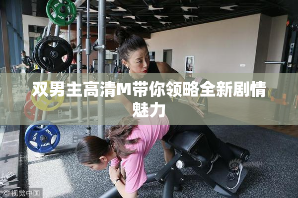 双男主高清M带你领略全新剧情魅力