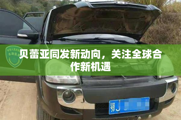 贝蕾亚同发新动向，关注全球合作新机遇