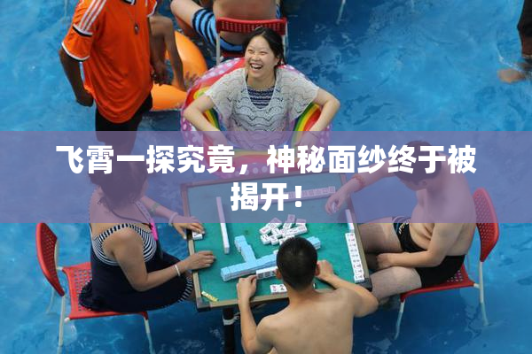 飞霄一探究竟，神秘面纱终于被揭开！