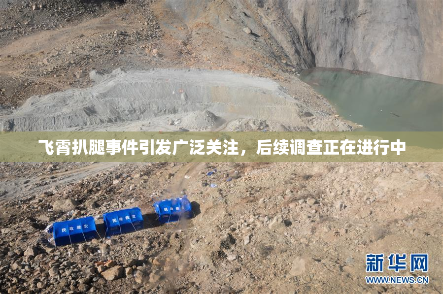 飞霄扒腿事件引发广泛关注，后续调查正在进行中