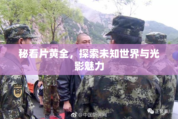 秘看片黄全，探索未知世界与光影魅力