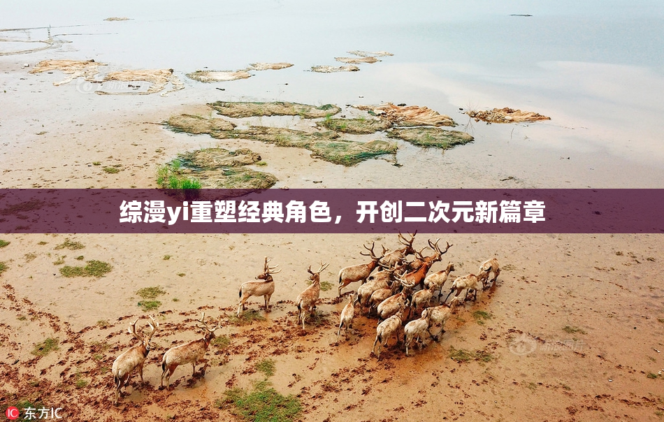综漫yi重塑经典角色，开创二次元新篇章