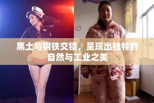 黑土与钢铁交错，呈现出独特的自然与工业之美