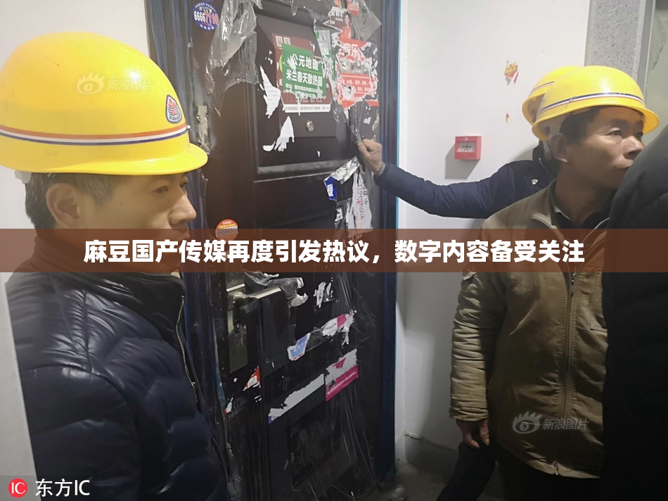 麻豆国产传媒再度引发热议，数字内容备受关注
