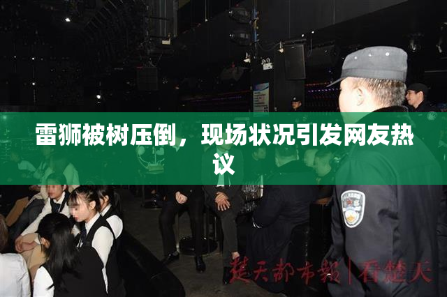 雷狮被树压倒，现场状况引发网友热议