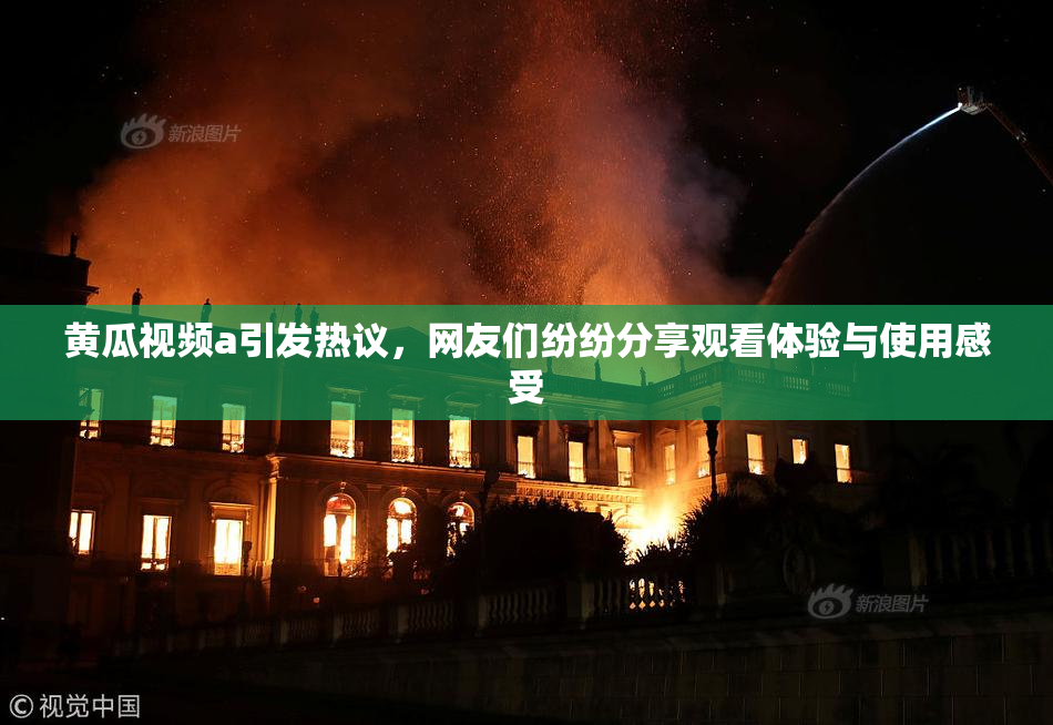 黄瓜视频a引发热议，网友们纷纷分享观看体验与使用感受