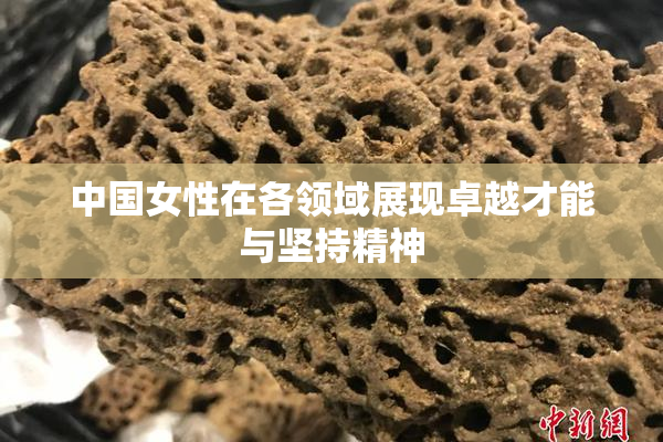 中国女性在各领域展现卓越才能与坚持精神