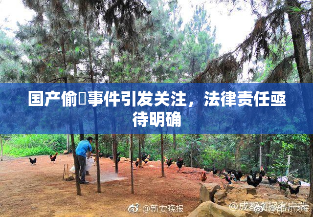 国产偷抇事件引发关注，法律责任亟待明确