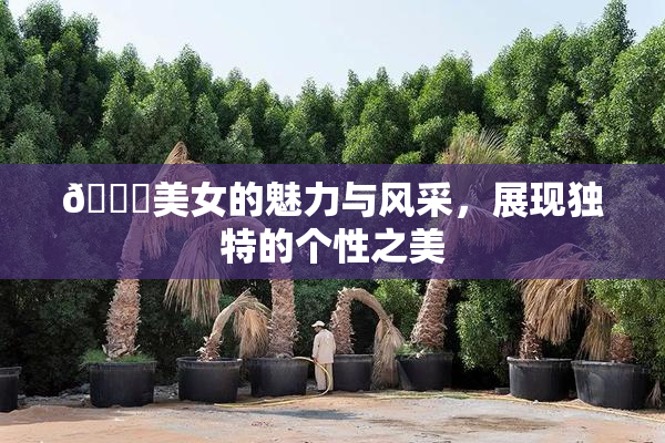 🔞美女的魅力与风采，展现独特的个性之美