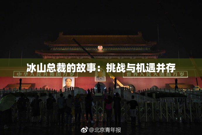 冰山总裁的故事：挑战与机遇并存