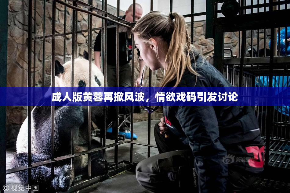 成人版黄蓉再掀风波，情欲戏码引发讨论