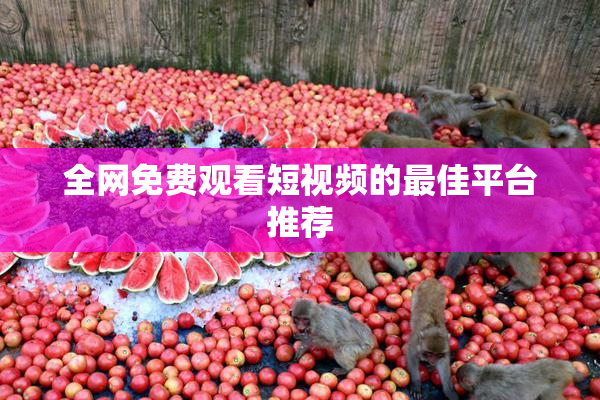全网免费观看短视频的最佳平台推荐