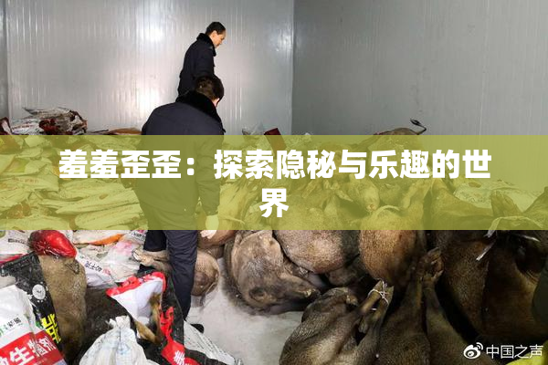 羞羞歪歪：探索隐秘与乐趣的世界