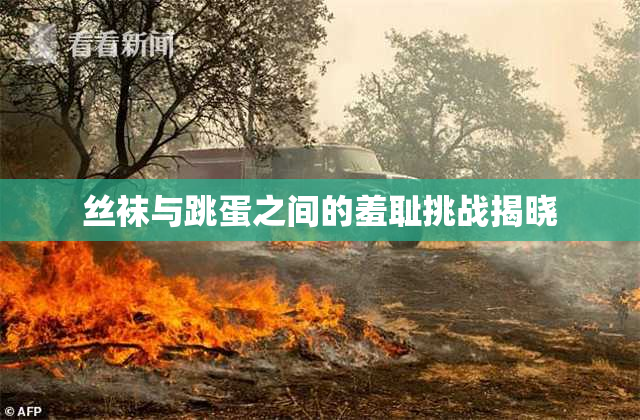 丝袜与跳蛋之间的羞耻挑战揭晓