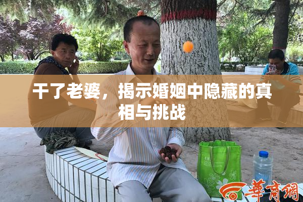 干了老婆，揭示婚姻中隐藏的真相与挑战